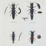 Becker, W.G. - photo 4