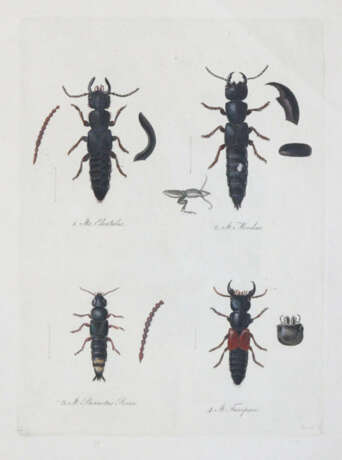 Becker, W.G. - photo 4