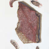 Becker, W.G. - photo 5