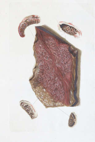 Becker, W.G. - photo 5