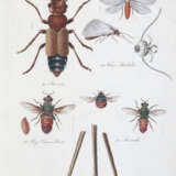 Becker, W.G. - photo 6