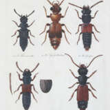 Becker, W.G. - photo 7