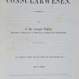 Piskur, J. - photo 1