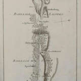 Bel Pierre. - photo 3