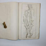 Bel Pierre. - photo 8