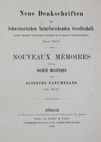 Rikli, M. - photo 1 Rikli, M. - photo 1