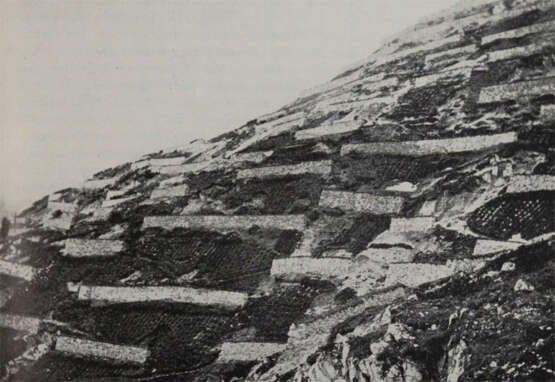 Rikli, M. - photo 2 Rikli, M. - photo 2