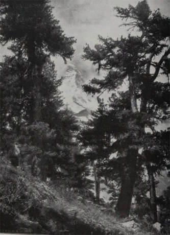 Rikli, M. - photo 4 Rikli, M. - photo 4