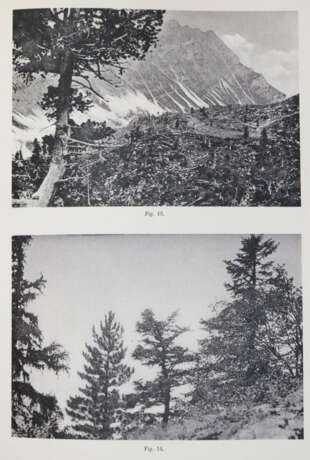 Rikli, M. - photo 5 Rikli, M. - photo 5