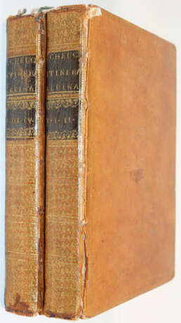 Scheuchzer, J.J. - Foto 4