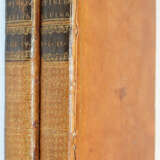 Scheuchzer, J.J. - Foto 4