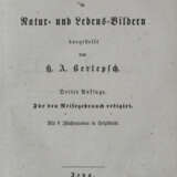 Berlepsch, H. A. - photo 2