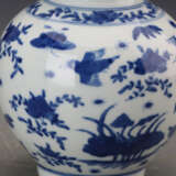 Qing Dynasty Blue and white porcelain Birds and flowers Gourd bottle - photo 3