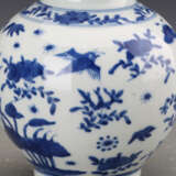 Qing Dynasty Blue and white porcelain Birds and flowers Gourd bottle - Foto 5