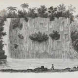 Lesson, R.P. - фото 4