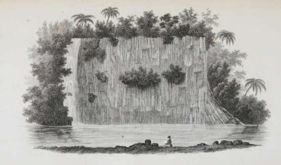 Lesson, R.P. - фото 4