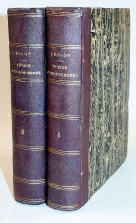 Lesson, R.P. - фото 5