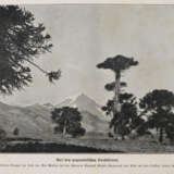 Storch, H. (Hrsg.). - photo 3