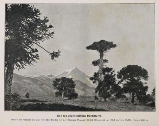 Storch, H. (Hrsg.). - photo 3