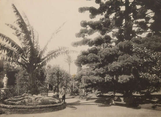 Storch, H. (Hrsg.). - photo 5