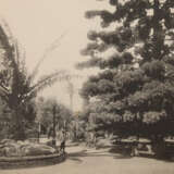 Storch, H. (Hrsg.). - photo 5