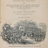 Williams, J. - фото 1