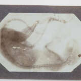 Sammlerkonvolut. - photo 11