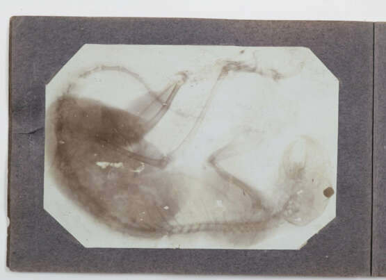 Sammlerkonvolut. - photo 11 Sammlerkonvolut. - photo 11