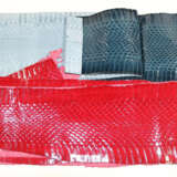 Schlangenhäute. - photo 1