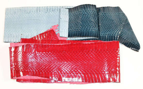 Schlangenhäute. - photo 1 Schlangenhäute. - photo 1