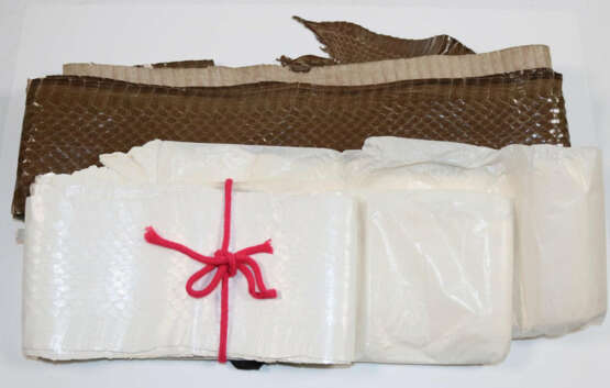 Schlangenhäute. - photo 2 Schlangenhäute. - photo 2