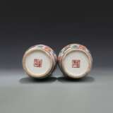A pair of Qing Dynasty pastel glaze bottles - photo 13