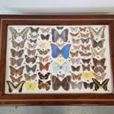 Vintage table with butterflies Mahogany Design of 50-60’s Mid-20th century - photo 4