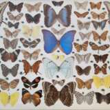 Table vintage avec papillons Acajou Design of 50-60’s Mid-20th century - photo 5