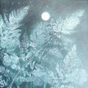 Папоротник