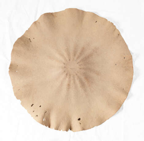 Morio Nishimura. Süßer Regen 10 - фото 2 Morio Nishimura. Süßer Regen 10 - фото 2