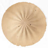 Morio Nishimura. Süßer Regen 6 - photo 2