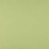 Brett de Palma. Thai Dog - photo 2