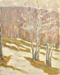 Winter in the mountains