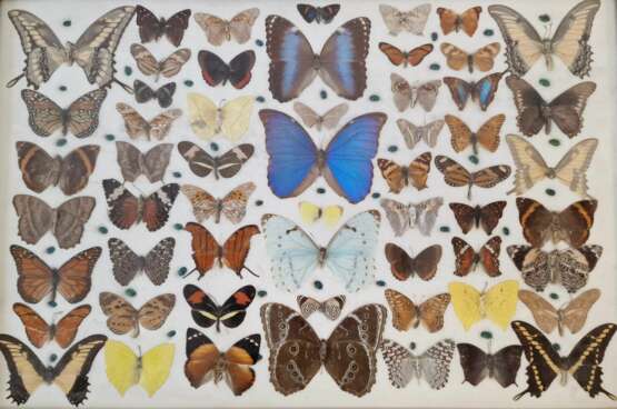 Table vintage avec papillons Mahagoni Design of 50-60’s Mid-20th century - Foto 3