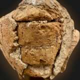 Terracotta Buddha head Shan State Kingdom Burma 16th18th century Stoneware 16th century - photo 3