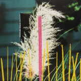 John Baldessari. 2 Bll. aus: 2623 Third Street, Santa Monica (Grass–Flower) - Foto 1