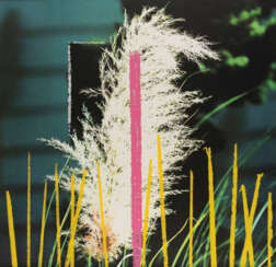 John Baldessari. 2 Bll. aus: 2623 Third Street, Santa Monica (Grass–Flower)