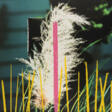 John Baldessari. 2 Bll. aus: 2623 Third Street, Santa Monica (Grass–Flower) - Maintenant aux enchères