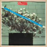 John Baldessari. 2 Bll. aus: 2623 Third Street, Santa Monica (Grass–Flower) - Foto 4