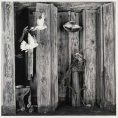 Roger Ballen. „Relinquished“