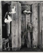 Roger Ballen. Roger Ballen. „Relinquished“