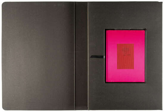 Nan Goldin. Jen's Hand on Clemen's back - фото 4