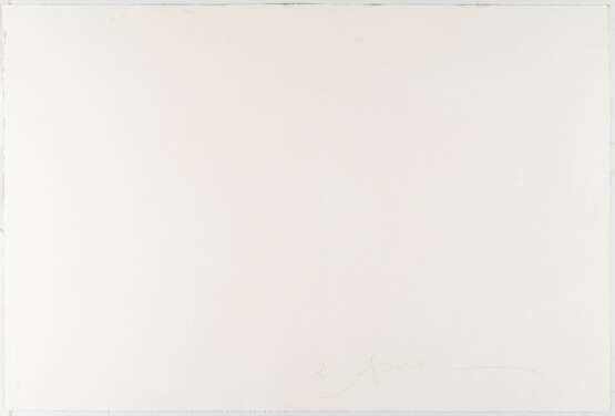 Antony Gormley. Clearing I - photo 3