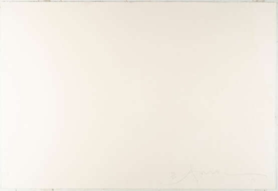 Antony Gormley. Clearing II - photo 3